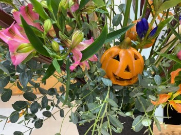 10月展示会開催のお知らせ！！